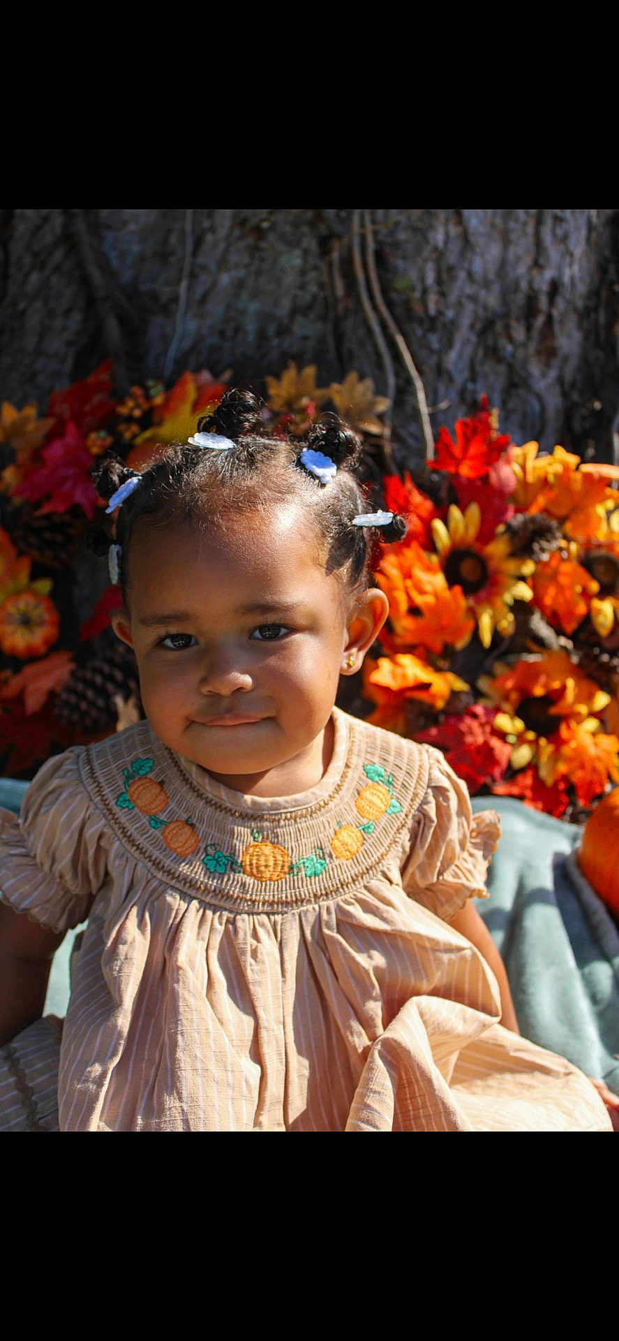 Navaya joined the competition — help win amazing prizes! toddler, child, girl, autumn, fall_leaves, sunflowers, pumpkin_embroidery, beige_dress, hair_buns, hair_clips, tree_bark, outdoor, seasonal, cute, portrait, nature, smiling, holiday, young_child, colorful