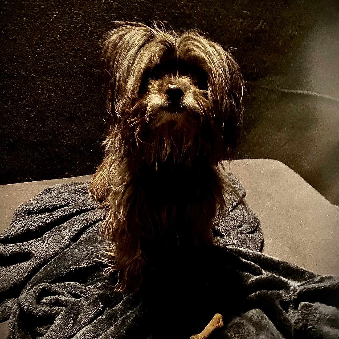 Bella