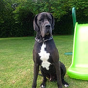 Evangelista a rejoint le concours — aidez-le/la à gagner de superbes lots !