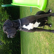 Falcon a rejoint le concours — aidez-le/la à gagner de superbes lots !