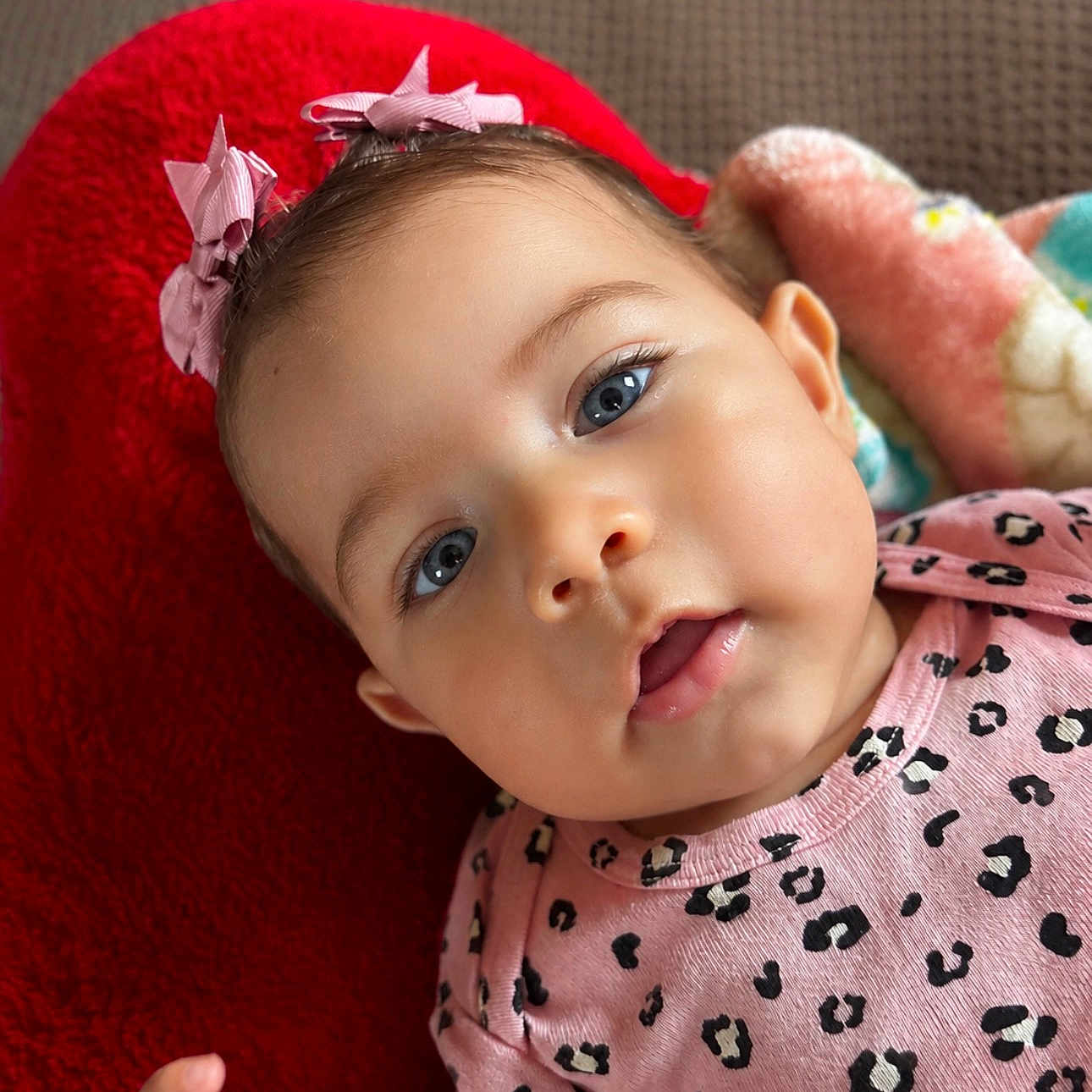 Malani Reign is registered to the contest to win money with this photo: baby, infant, child, pink_bow, blue_eyes, red_cushion, blanket, pink_clothing, leopard_print, cute, portrait, face, hand, skin, indoor, soft_texture, young, adorable, expression, closeup