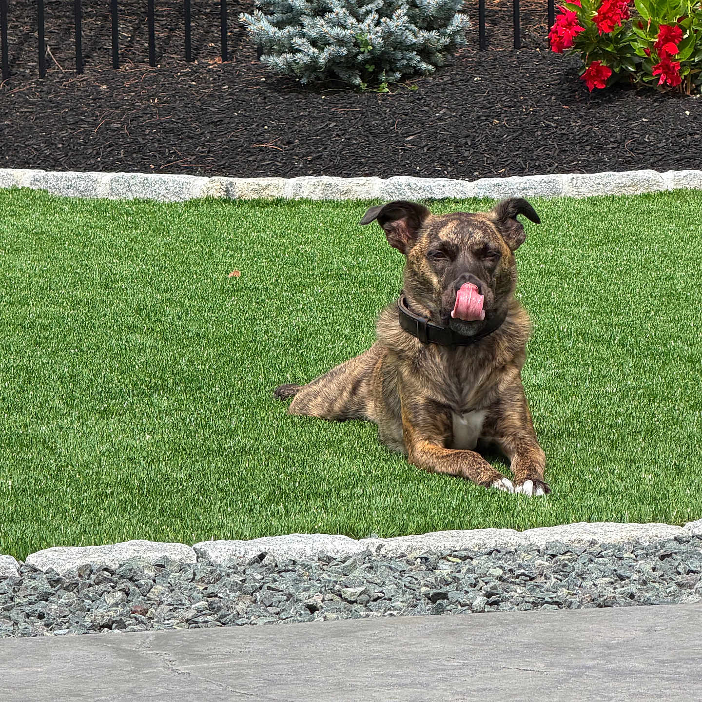 Max