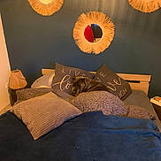 Nouméa a rejoint le concours — aidez-le/la à gagner de superbes lots ! dog, bed, pillow, blanket, mirror, lamp, wooden_bed_frame, decor, blue_wall, indoor, cozy, sleeping, furniture, text_on_pillow, soft_lighting, resting, home_interior, warm_colors, pet, relaxation