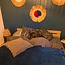 dog, bed, pillow, blanket, mirror, lamp, wooden_bed_frame, decor, blue_wall, indoor, cozy, sleeping, furniture, text_on_pillow, soft_lighting, resting, home_interior, warm_colors, pet, relaxation