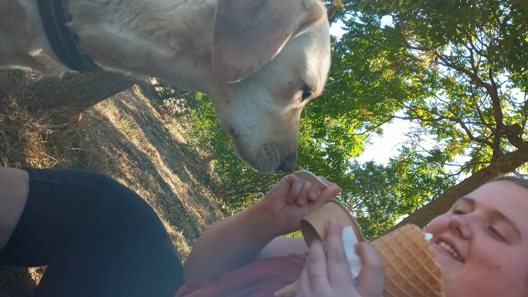 Hercule a rejoint le concours — aidez-le/la à gagner de superbes lots ! finger, foot, gesture, grass, hand, happy, human_leg, leaf, leisure, nail, nature, organism, pattern, people_in_nature, sky, sport_climbing, terrestrial_animal, thumb, tree, working_animal