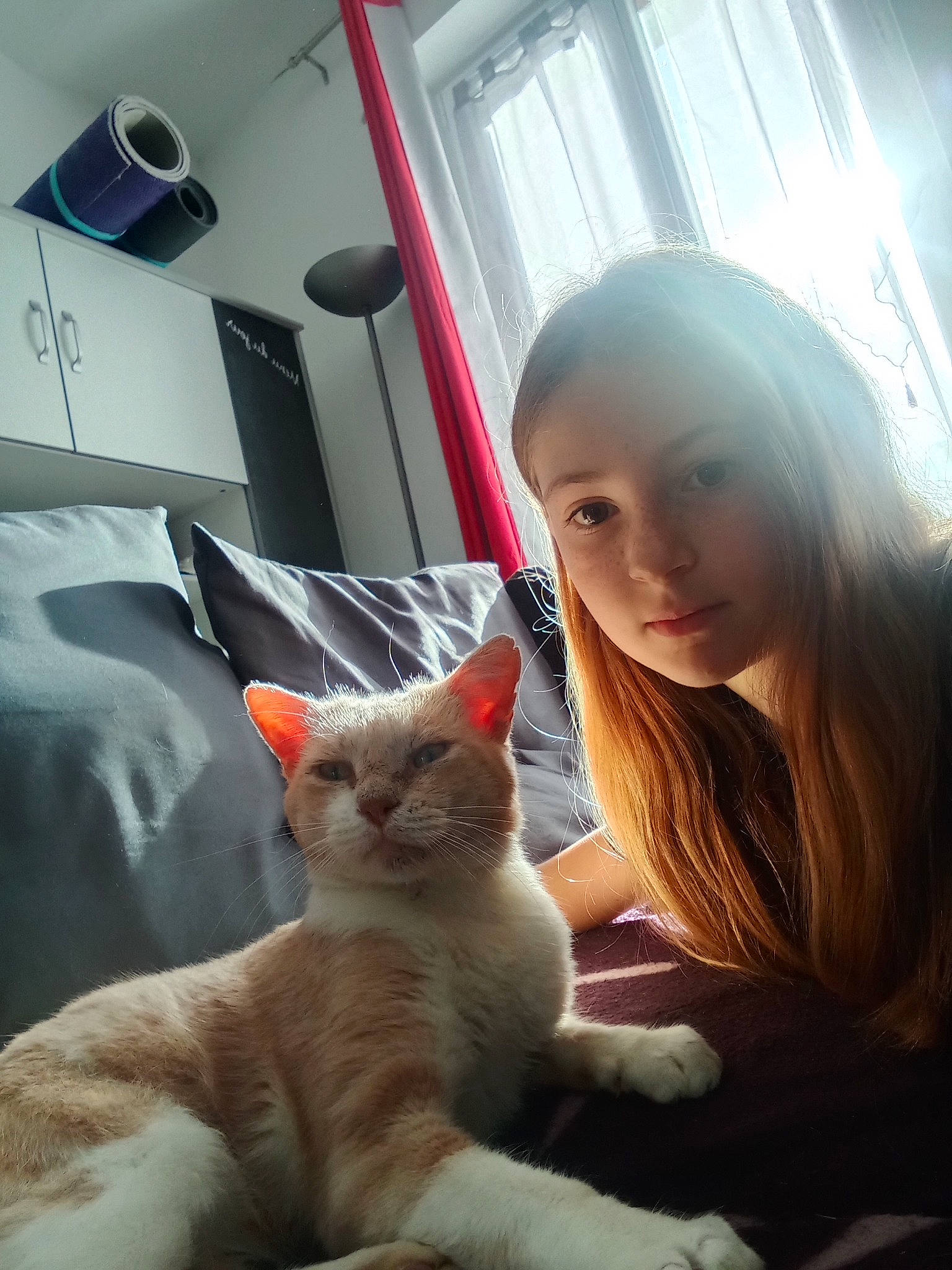 Aziliz Cosnard participe au concours pour gagner de l'argent avec cette photo : carnivore, cat, claw, comfort, domestic_short_haired_cat, ear, facial_expression, fawn, felidae, fur, gesture, lap, paw, person, sitting, small_to_medium_sized_cats, tail, whiskers