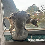 Hercules is registered to the contest to win money with this photo: cat, statue, bust, window, windowsill, tile, tabby, pet, indoor, portrait, sculpture, whiskers, photobomb, screen, foliage, house, daylight, marble, playful, curious