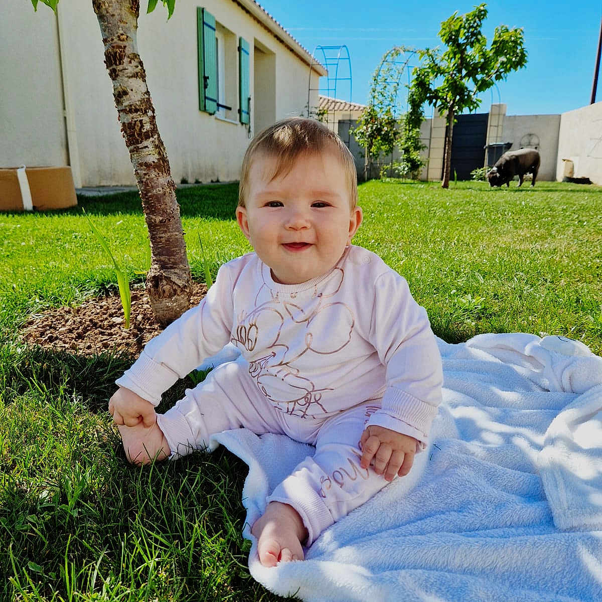 Josepha a rejoint le concours — aidez-le/la à gagner de superbes lots ! baby, child, outdoor, grass, tree, blanket, sunlight, blue_sky, house, window, pig, animal, cute, smiling, sitting, nature, greenery, yard, daytime, portrait