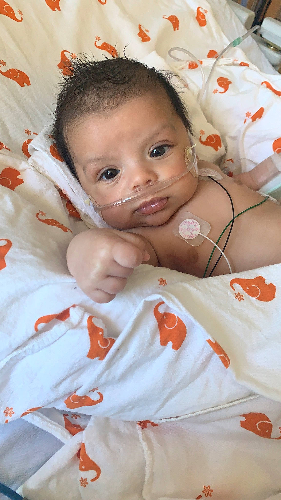 Carlos joined the competition — help win amazing prizes! baby, cheek, child, person, skin, toddler