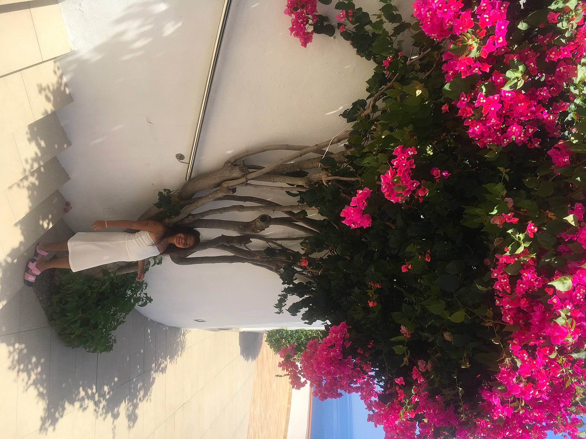 Mia a rejoint le concours — aidez-le/la à gagner de superbes lots ! architecture, bougainvillea, floral_design, flower, herbaceous_plant, joy, magenta, person, pink, plant, red, tree