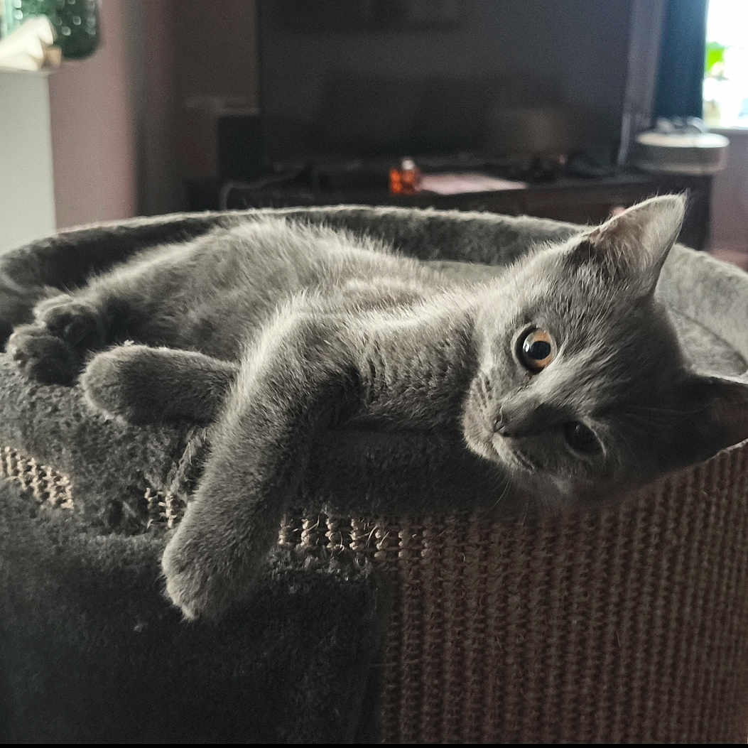 Billy