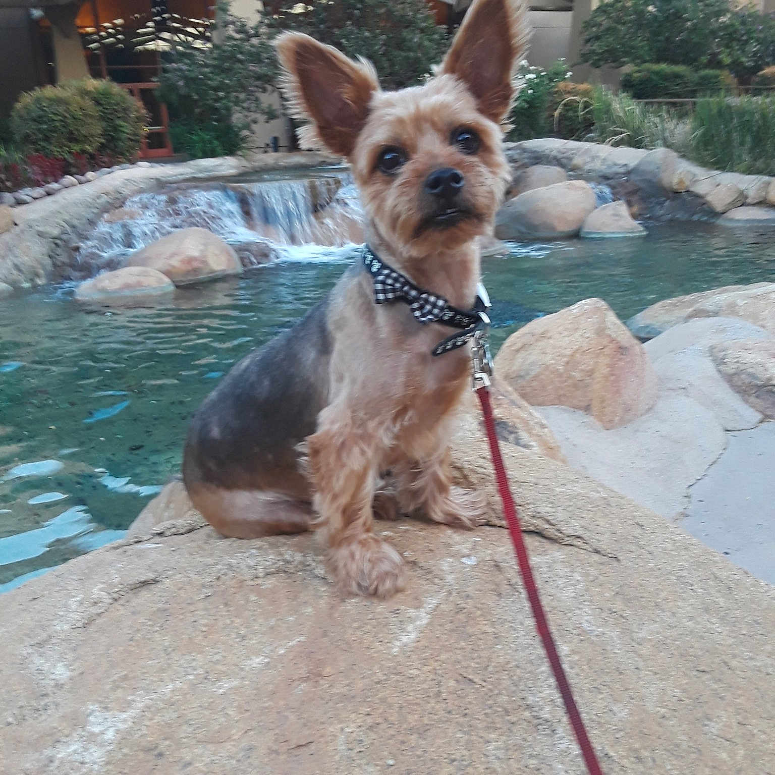 Jax