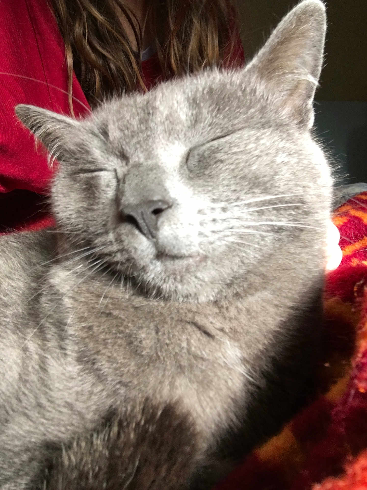 Boubouille