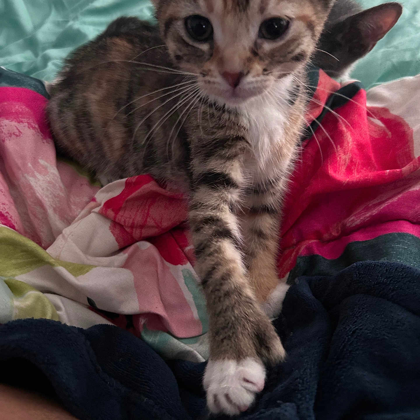 Tigger