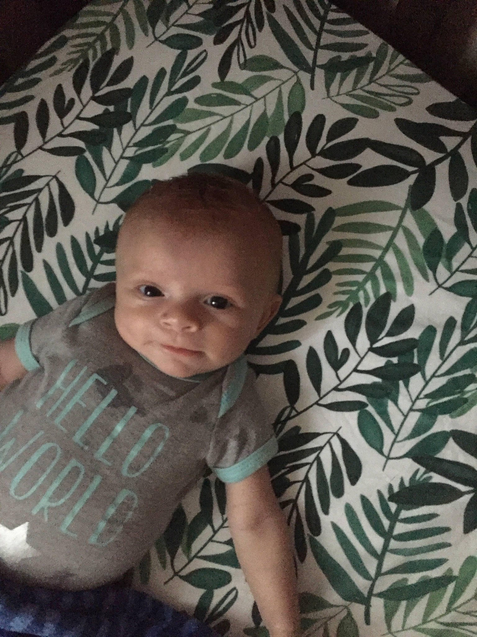 Jaydan is registered to the contest to win money with this photo: baby, child, eye, head, pattern, person, product, sitting, skin, smile, toddler, tree