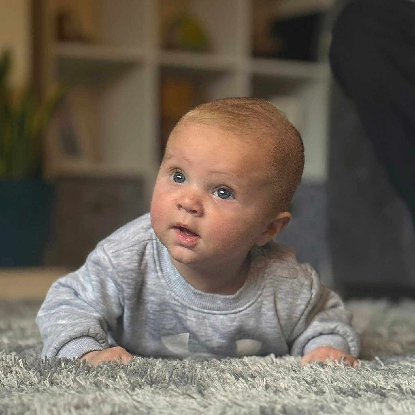 Jaye joined the competition — help win amazing prizes! baby, blue_eyes, carpet, carpet_texture, child, cozy, crawling, curious, cute, expression, floor, gray_sweater, home, indoors, infant, person, portrait, soft_texture, sweater, young_child