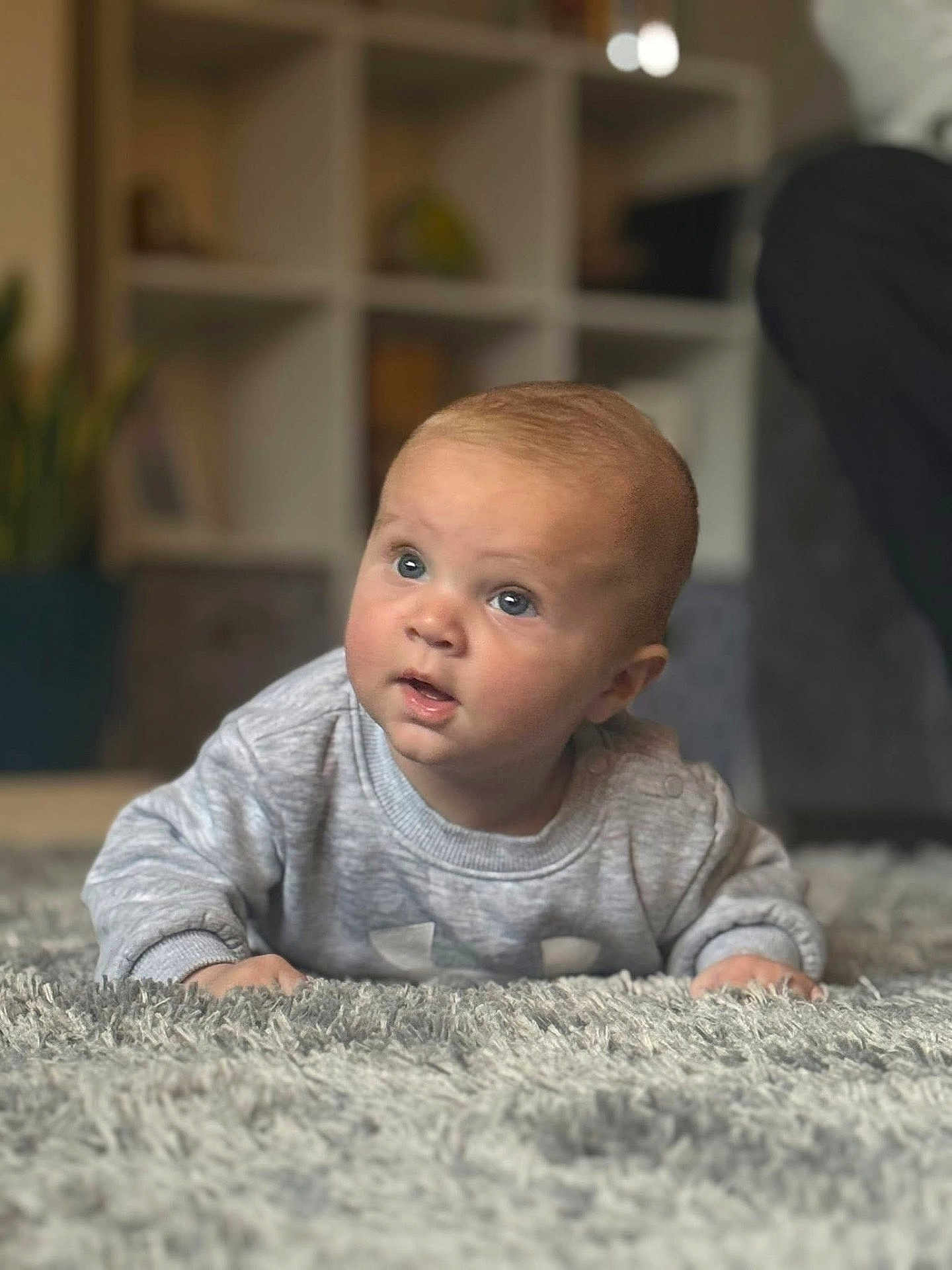 Jaye joined the competition — help win amazing prizes! baby, infant, child, carpet, gray_sweater, floor, indoors, curious, blue_eyes, crawling, soft_texture, cozy, portrait, cute, young_child, home, carpet_texture, expression, person, sweater