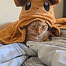 cat, orange_cat, blanket, bed, striped_bedspread, costume, pokemon, eevee, ears, animal, pet, indoor, cozy, fur, cute, lying_down, resting, soft_texture, expression, portrait