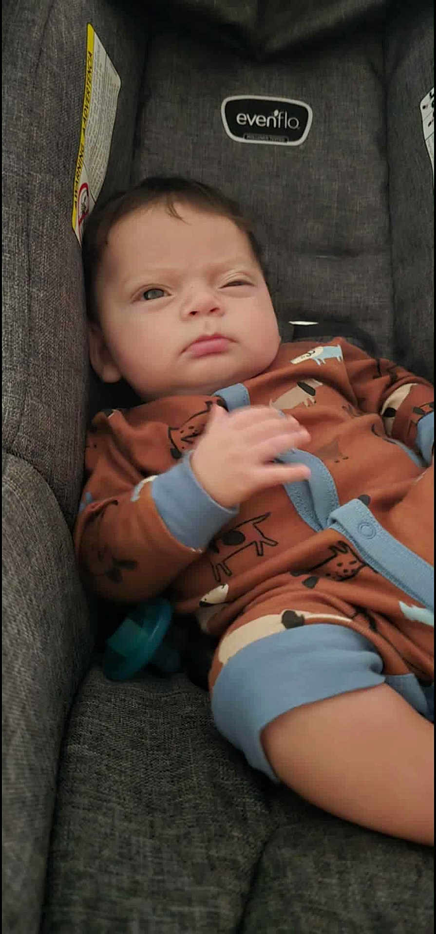 Benjamin is registered to the contest to win money with this photo: baby, infant, car_seat, onesie, brown_clothing, blue_trim, animal_prints, face, expression, winking, hand, furniture, fabric, indoor, child, cute, cozy, seat, person, portrait