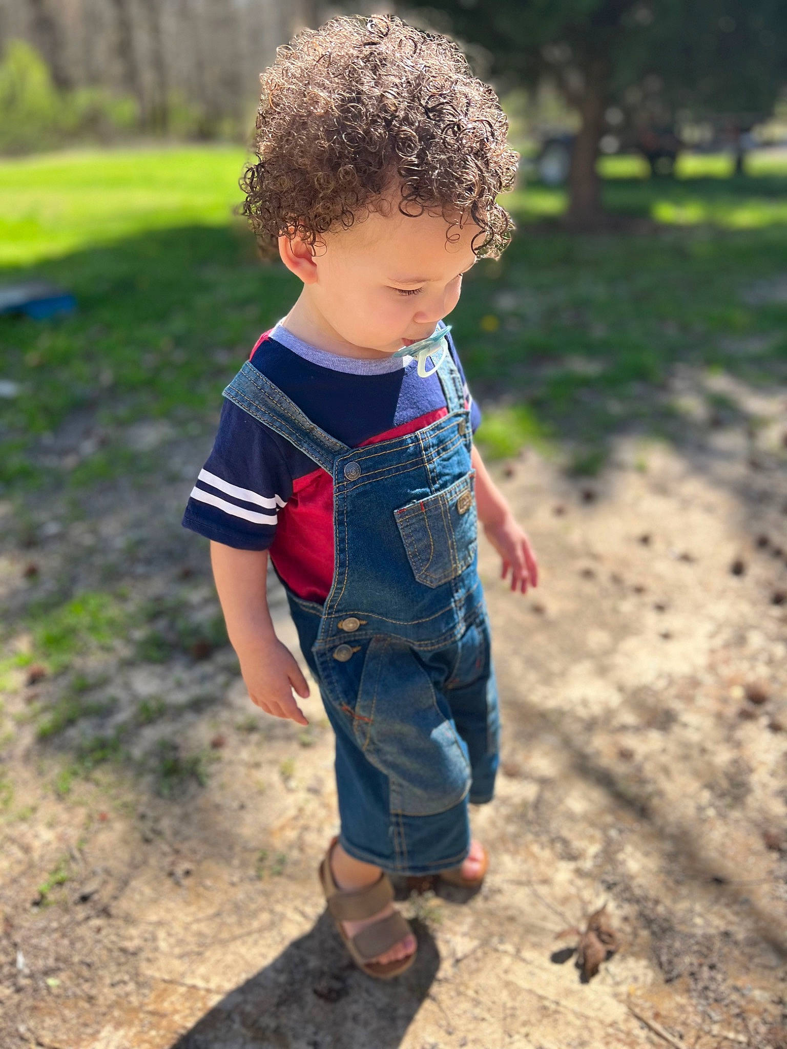 Bentley joined the competition — help win amazing prizes! baby_toddler_clothing, child, denim, electric_blue, fun, grass, happy, leg, leisure, pattern, people_in_nature, person, plant, play, recreation, sitting, sleeve, soil, t_shirt, toddler