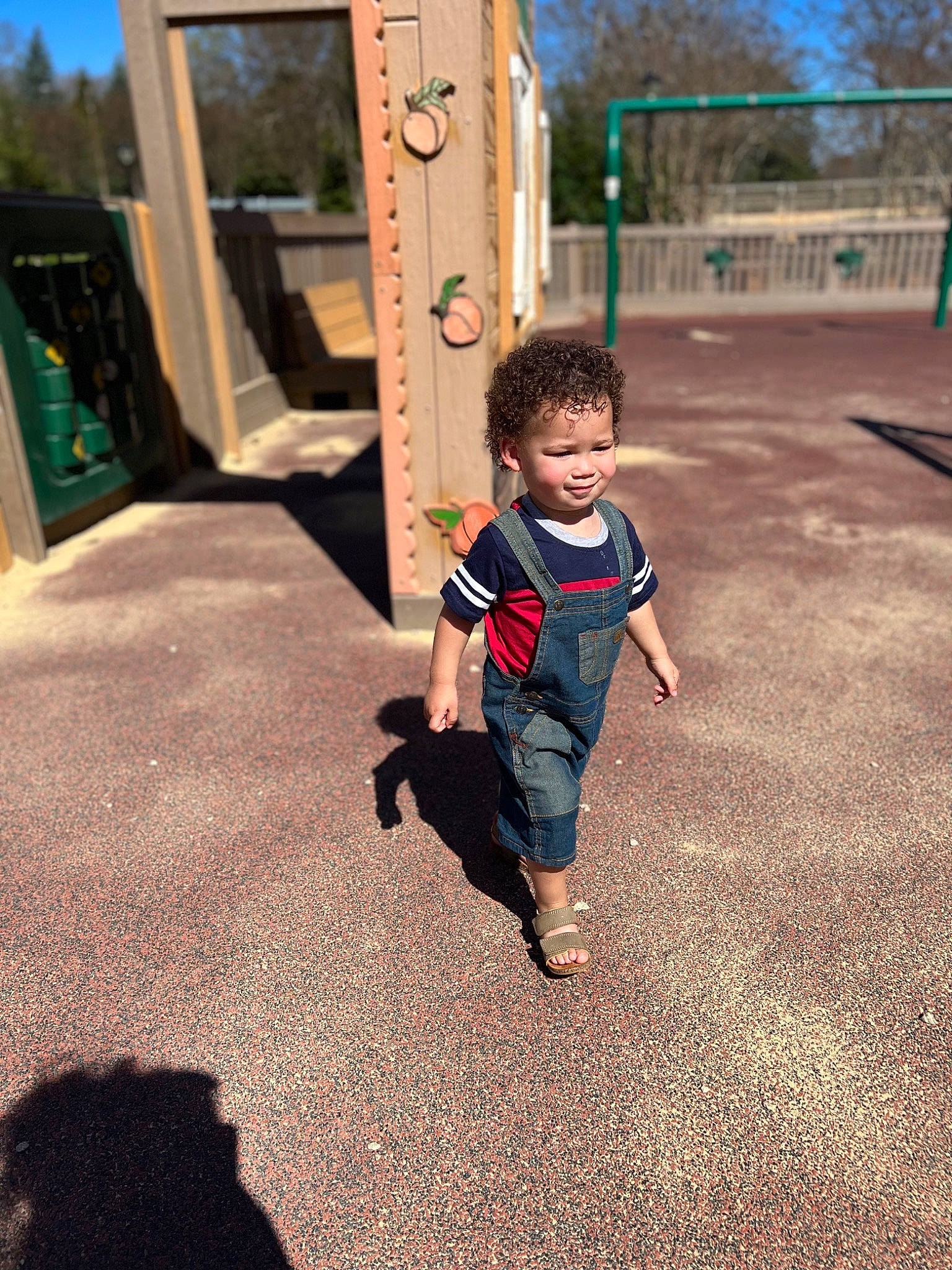 Bentley joined the competition — help win amazing prizes! asphalt, child, city, flooring, fun, grass, happy, leaf, leisure, person, plant, play, playground, recreation, road_surface, standing, t_shirt, tints_and_shades, toddler, tree