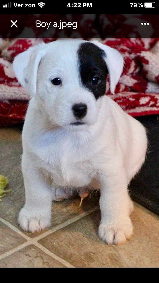 Henry