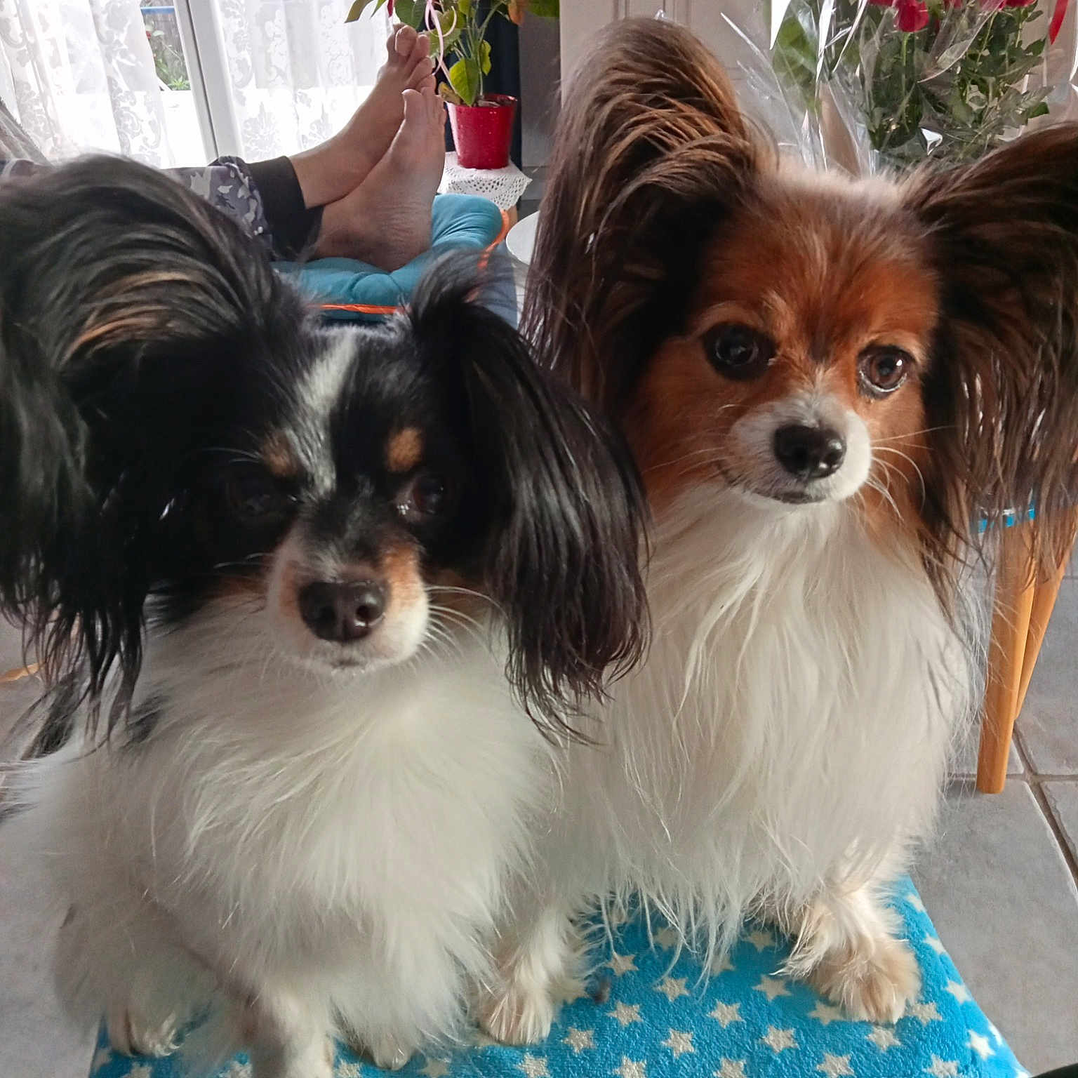 Oria Et Scarlette