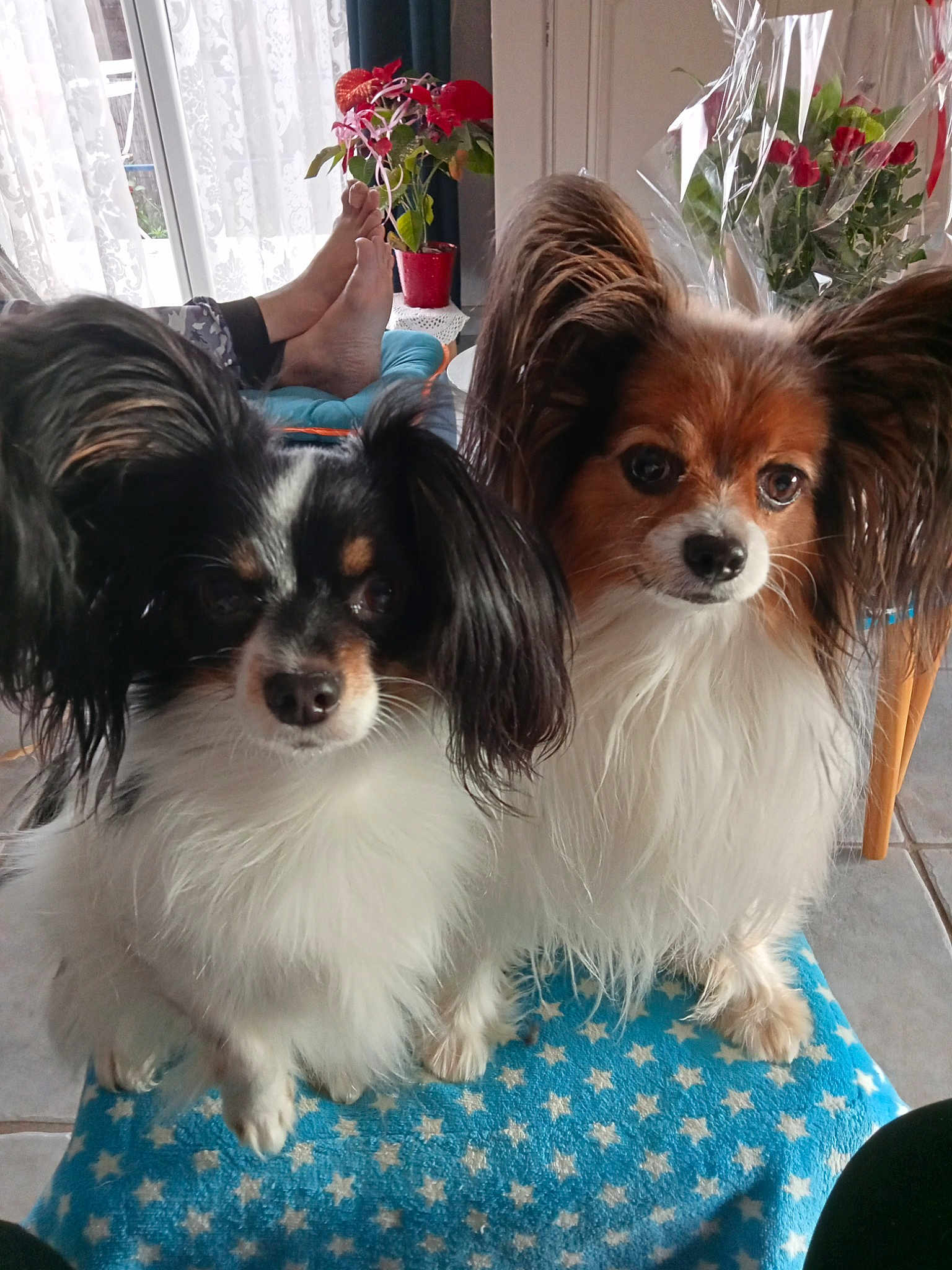 Oria Et Scarlette