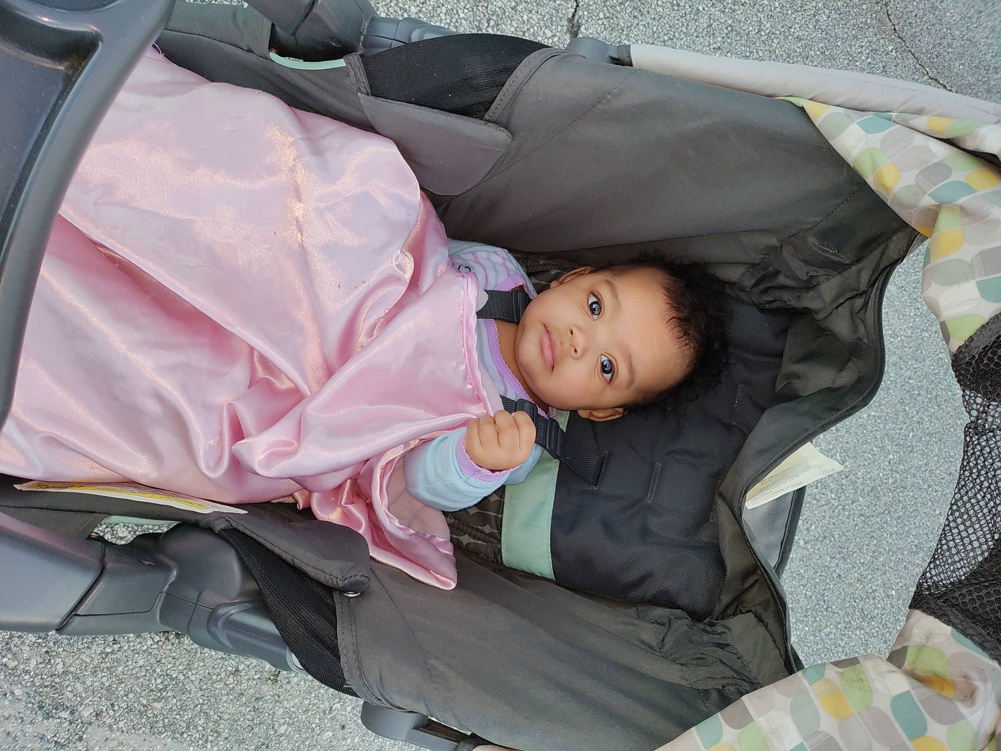 Aurora Jayde joined the competition — help win amazing prizes! auto_part, automotive_exterior, baby, baby_carriage, baby_products, baby_toddler_clothing, car_seat, child, comfort, family_car, head, lap, luxury_vehicle, motor_vehicle, nap, person, plaid, sitting, toddler, tree