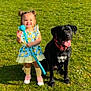 toddler, child, dog, black_dog, grass, outdoor, sunny, toy, dress, yellow, blue, smiling, happy, pet, animal, collar, footwear, play, nature, fence
