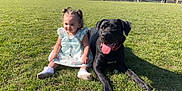 Diana is registered to the contest to win money with this photo: toddler, child, dog, grass, park, sunny, outdoor, pet, animal, smiling, happy, sitting, dress, black_dog, tongue_out, nature, daytime, playful, friendship, cute