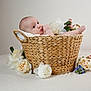 Roseabella is registered to the contest to win money with this photo: baby, basket, flower, white_flower, pink_flower, blue_flower, infant, cute, portrait, soft_texture, skin, hand, foot, wicker, decor, studio, child, peaceful, resting, indoors