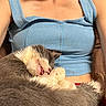 Roadie is registered to the contest to win money with this photo: animal, blue_tank_top, cat, close_up, comfort, companion, cozy, cuddle, cute, fur, indoor, mouth_open, nap, person, pet, relaxing, resting, sleeping, warm_light, whiskers