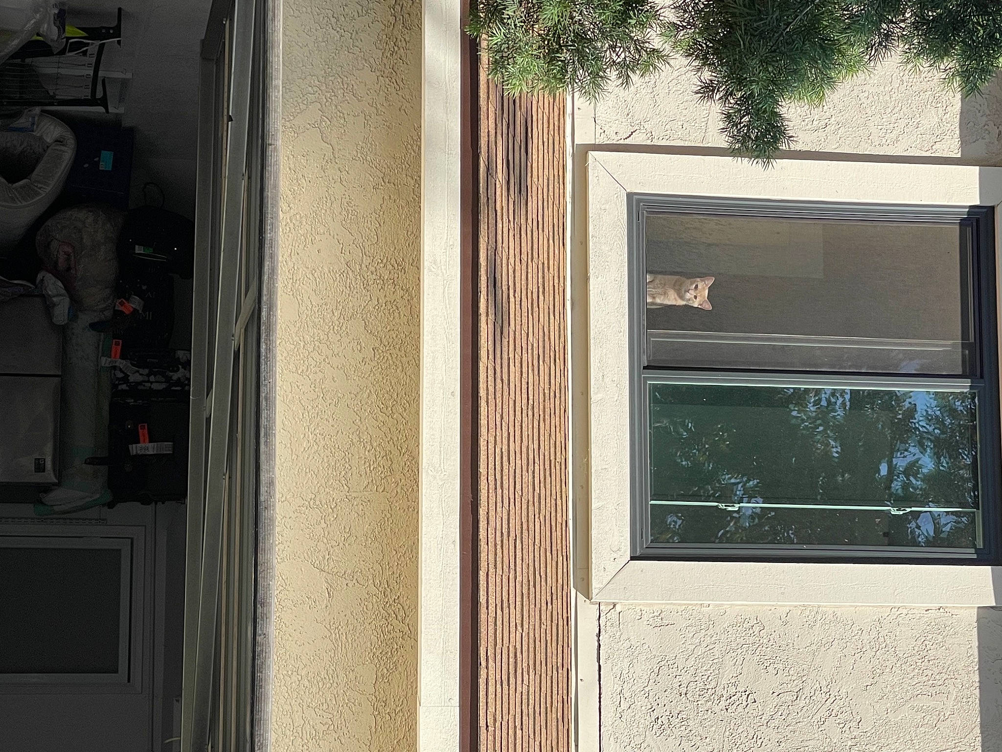 Francis is registered to the contest to win money with this photo: brick, brickwork, building, composite_material, concrete, facade, fixture, gas, glass, home_door, house, metal, plant, rectangle, sash_window, shade, tints_and_shades, tree, window, wood