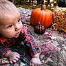Ryker joined the competition — help win amazing prizes! baby, infant, child, portrait, autumn, pumpkin, hay_bale, plaid_shirt, blanket, outdoor, fall_decor, orange_pumpkin, decorative_gourds, bokeh, natural_light, curious, sitting, crawling, floral_pattern, seasonal