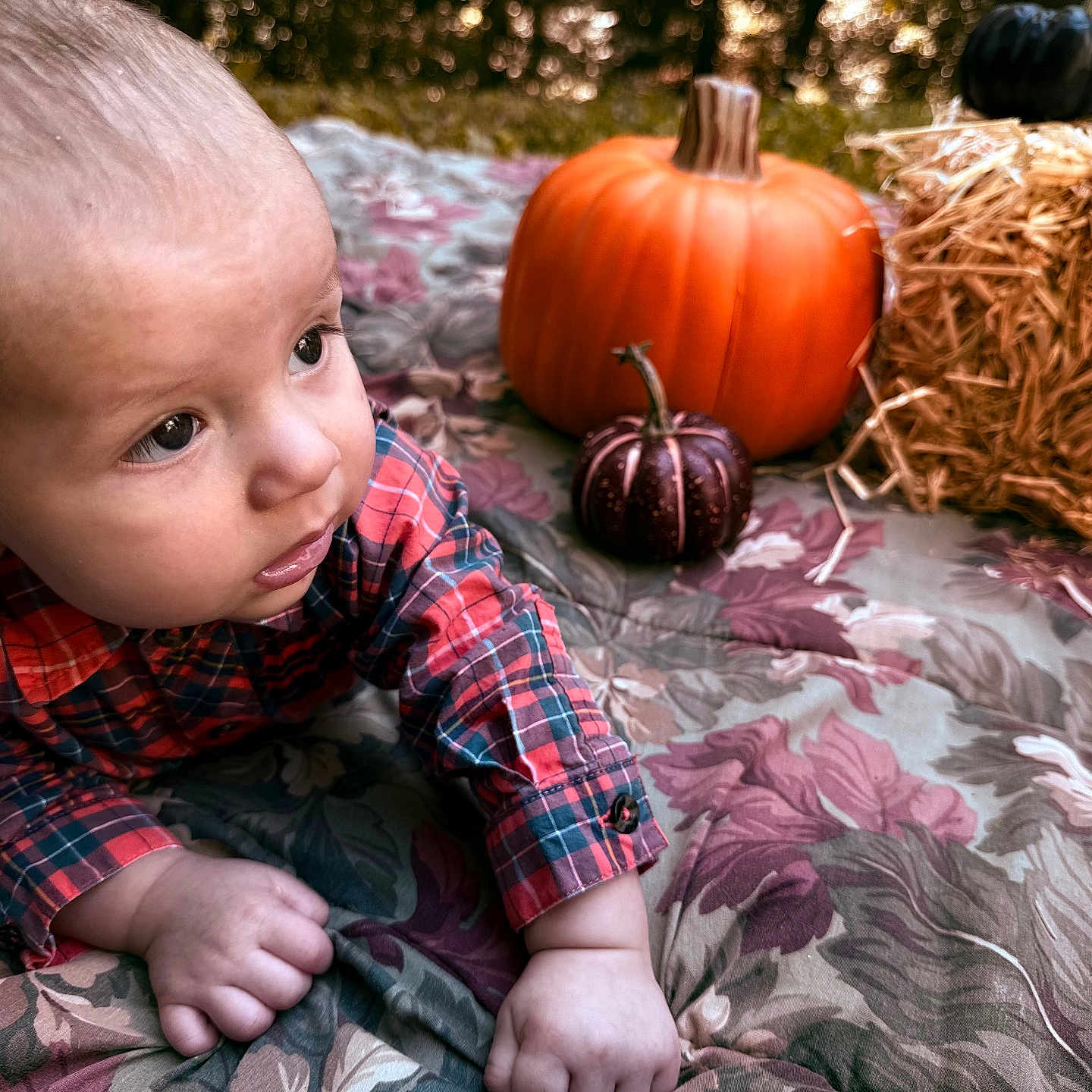 Ryker
