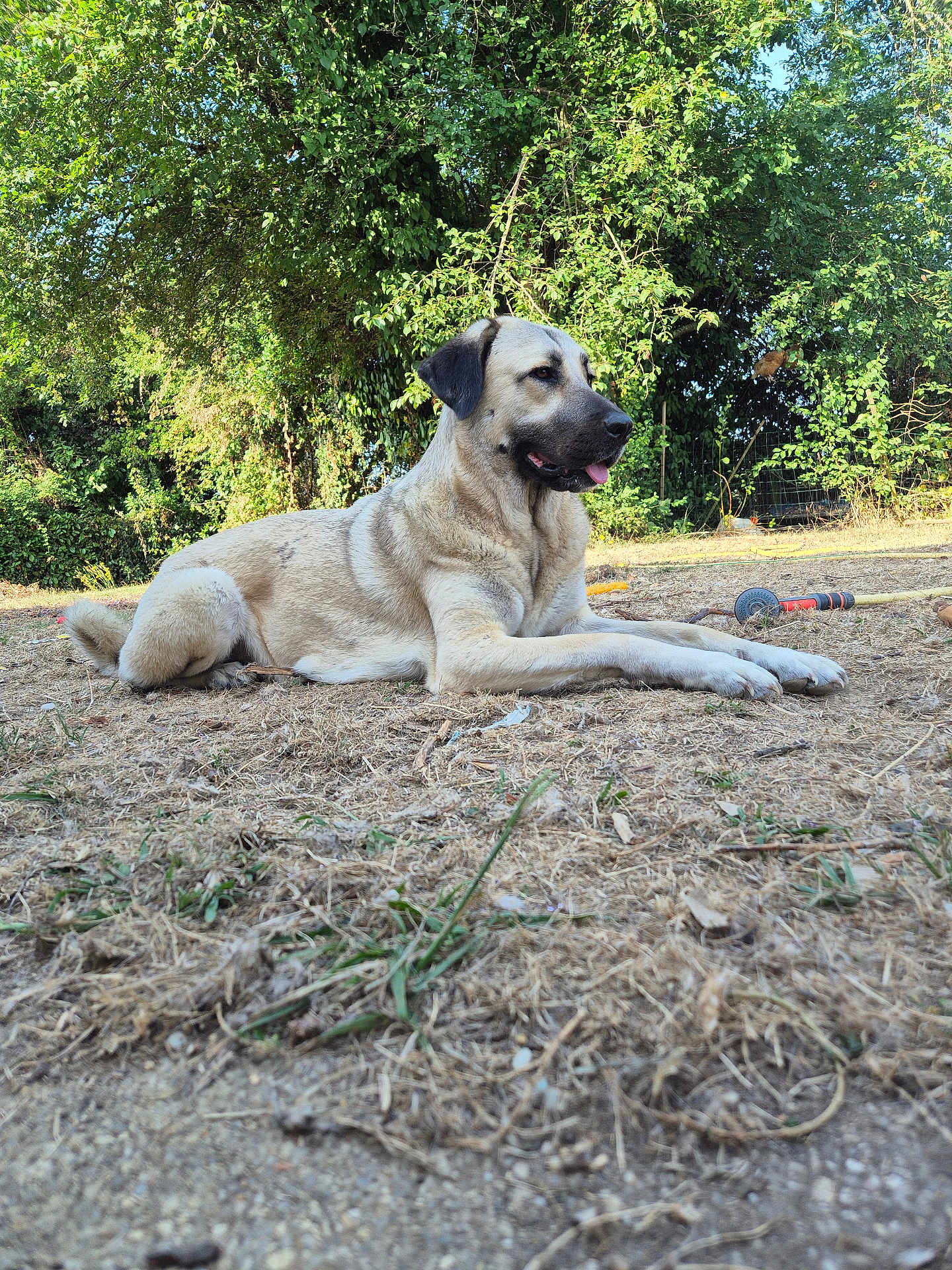 Tuka
