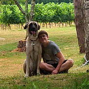 Shadow participe au concours pour gagner de l'argent avec cette photo : canine, casual, companionship, daylight, dog, friendship, grass, greenery, happy, leisure, nature, outdoor, person, pet, portrait, relaxation, sitting, summer, tree, vineyard