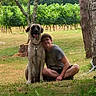 dog, person, grass, tree, vineyard, outdoor, nature, summer, happy, pet, leash, chain, casual_clothing, sitting, greenery, sunlight, smiling, large_dog, friendship, relaxing