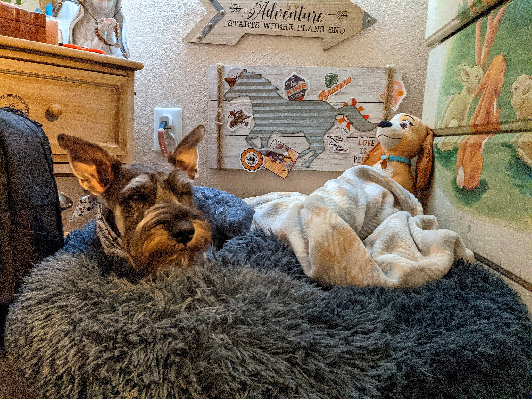 Tramp is registered to the contest to win money with this photo: art, cabinetry, carnivore, companion_dog, dog, dog_breed, fawn, felidae, fur, mammal, picture_frame, sculpture, sporting_group, statue, terrestrial_animal, terrier, toy, visual_arts, wood, working_animal