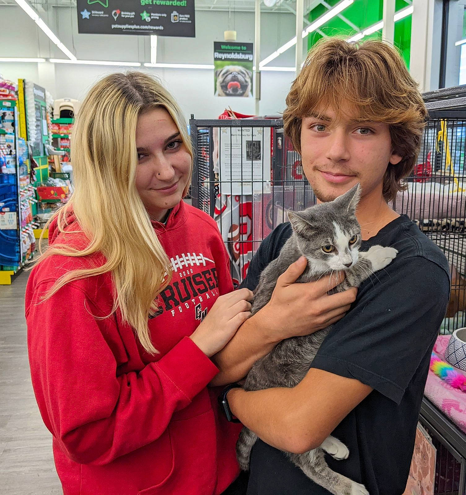 Ratchet joined the competition — help win amazing prizes! arm, blond, bookcase, brown_hair, carnivore, cat, customer, event, facial_expression, fawn, felidae, fun, fur, hairstyle, hand, long_hair, publication, shelf, small_to_medium_sized_cats, smile