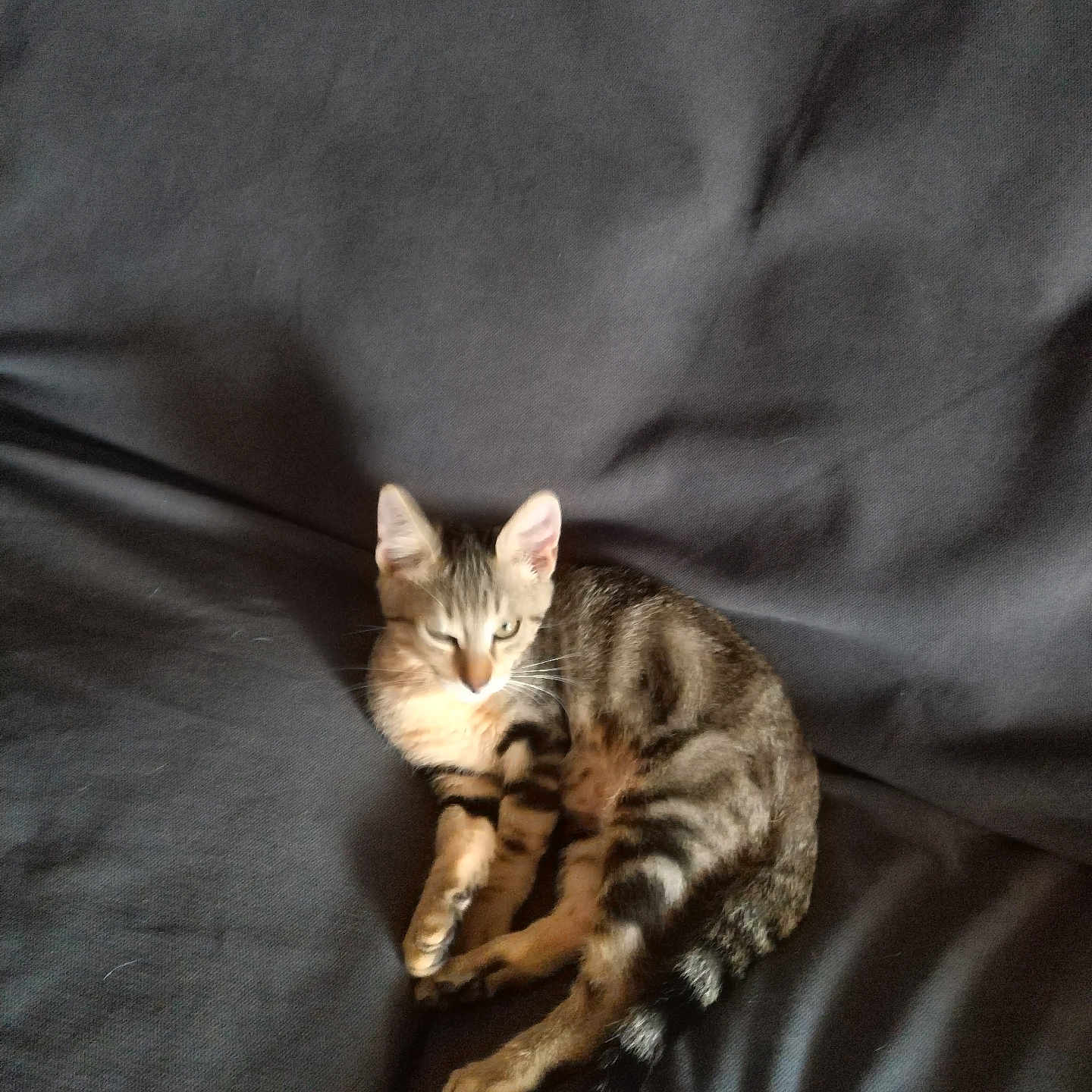 Barry
