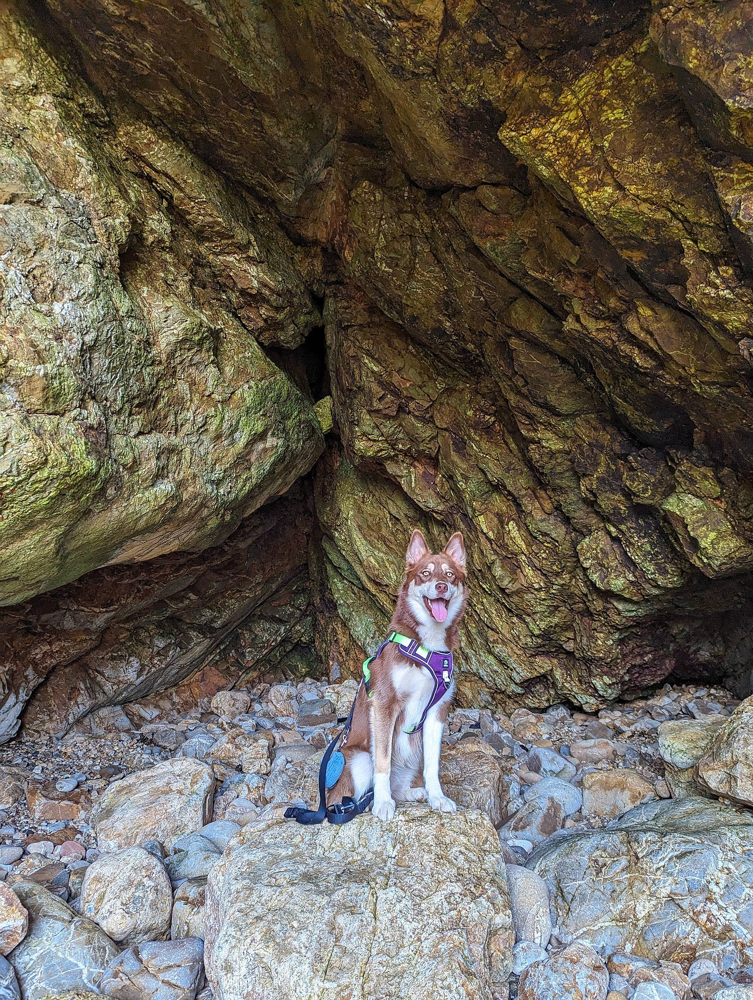 Toscane participe au concours pour gagner de l'argent avec cette photo : adventure, bedrock, cave, electric_blue, erosion, fault, formation, fun, geology, landscape, leisure, outcrop, recreation, rock, soil, stream, swimwear, tree, trunk, wood