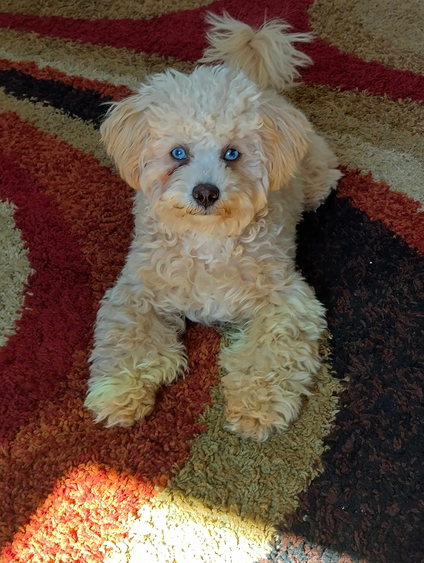 Minni
