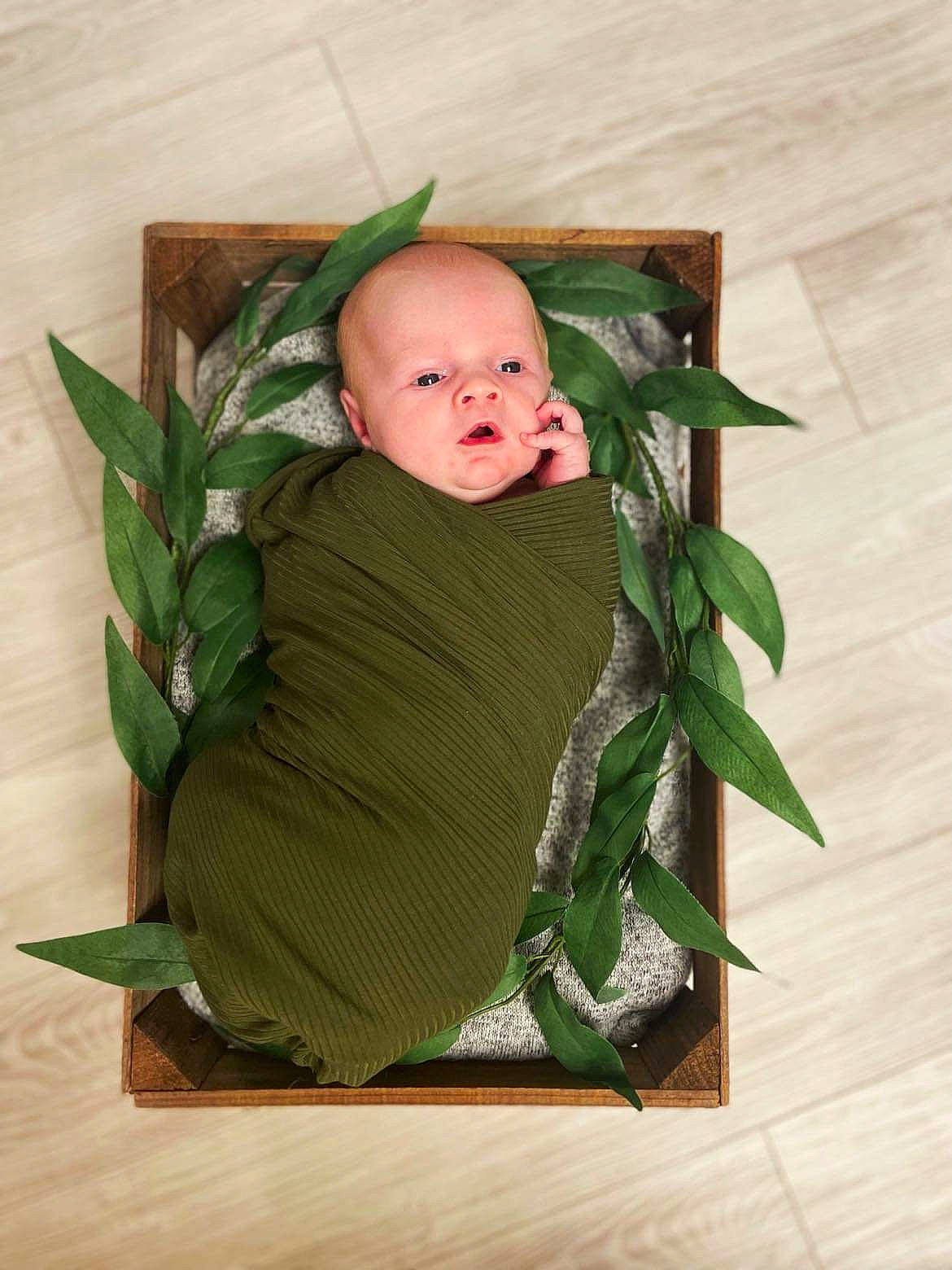 Ivan joined the competition — help win amazing prizes! baby, baby_toddler_clothing, christmas, eye, flooring, floral_design, grass, hardwood, holiday, linens, paper, paper_product, person, plant, plant_stem, room, sitting, sleeve, toddler, twig