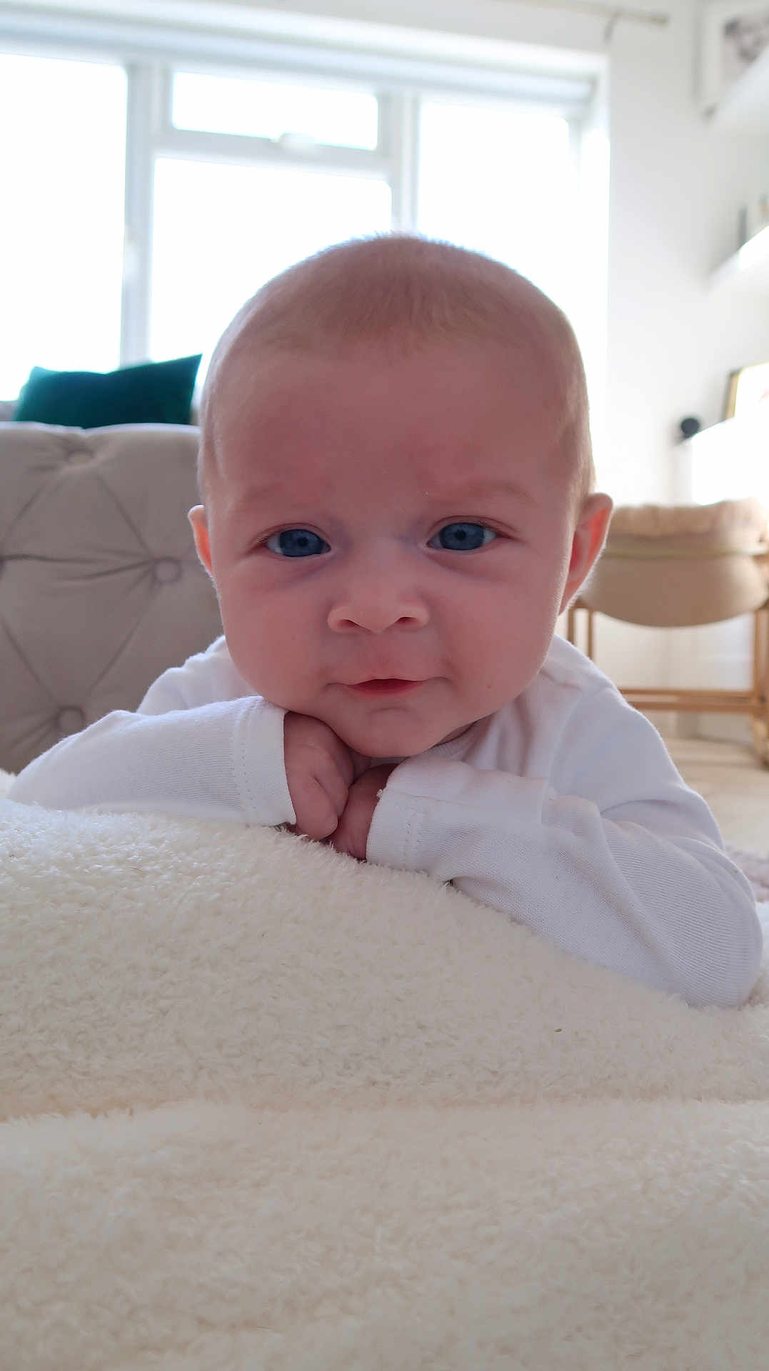 Peony joined the competition — help win amazing prizes! baby, infant, blue_eyes, blanket, white_clothing, face, hands, resting, indoors, cushion, furniture, window, soft_light, curious, closeup, portrait, child, cozy, young, head