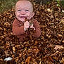 Asher is registered to the contest to win money with this photo: baby, child, autumn, leaves, smiling, happy, outdoor, nature, fall, season, cute, person, portrait, brown, tree, grass, playful, joy, small_hands, sitting