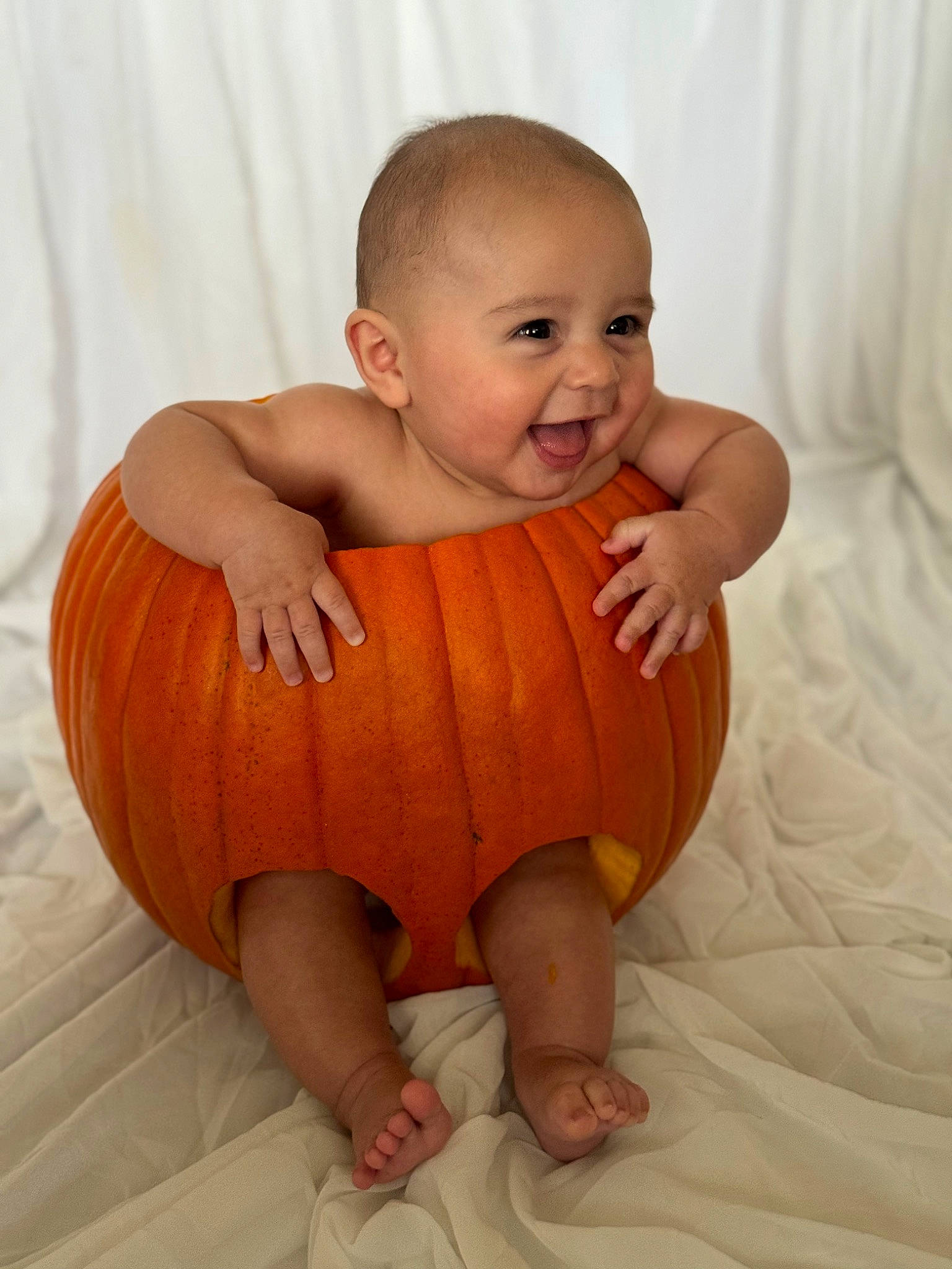 Josiah is registered to the contest to win money with this photo: arm, baby_toddler_clothing, cheek, comfort, dress, eye, finger, hand, happy, human_body, leg, muscle, neck, orange, person, plant, pumpkin, skin, smile, stomach