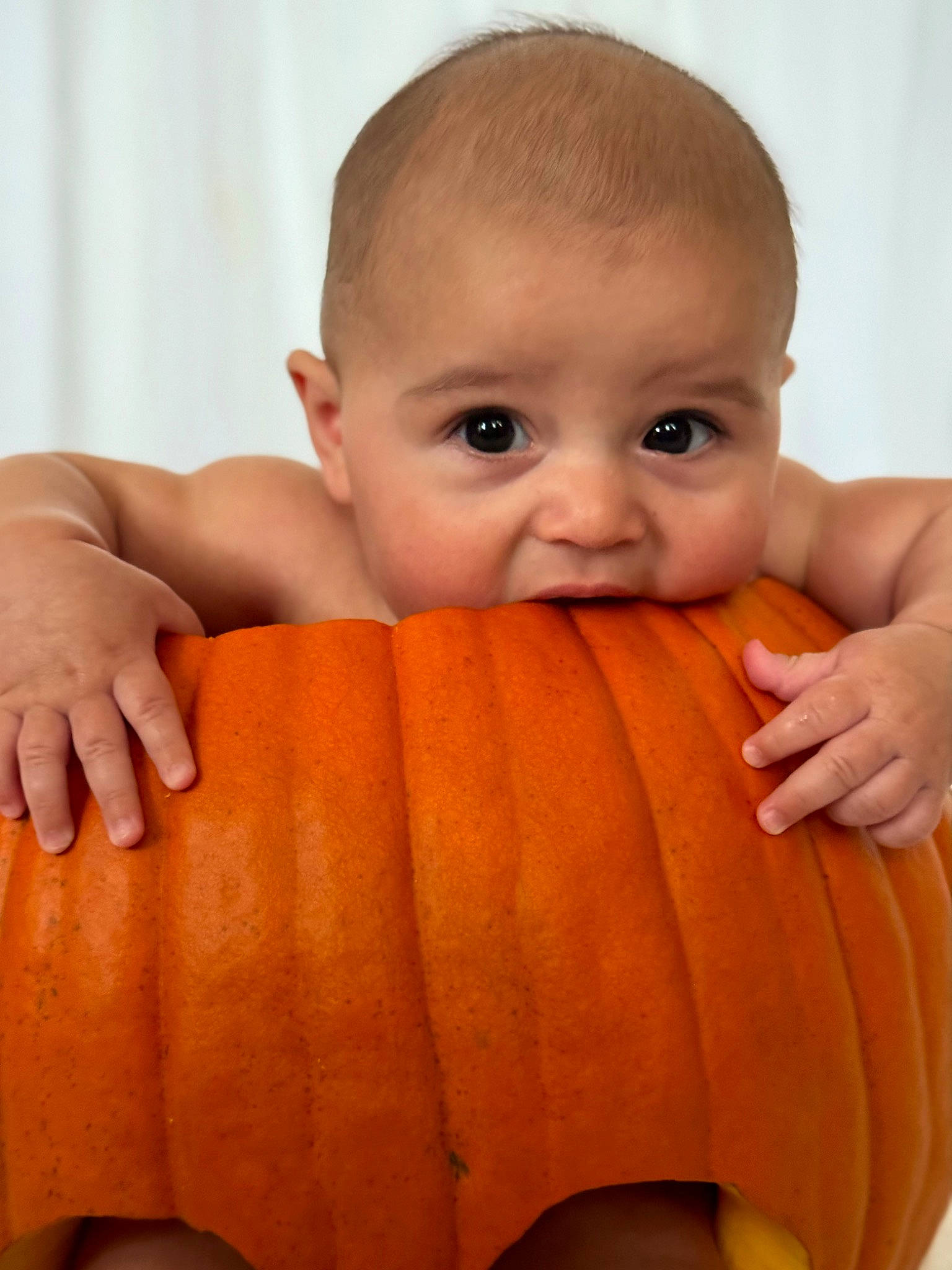 Josiah joined the competition — help win amazing prizes! arm, baby, calabaza, cheek, cucurbita, eye, facial_expression, finger, gourd, hand, human_body, iris, mouth, natural_foods, nose, orange, person, pumpkin, skin, thumb