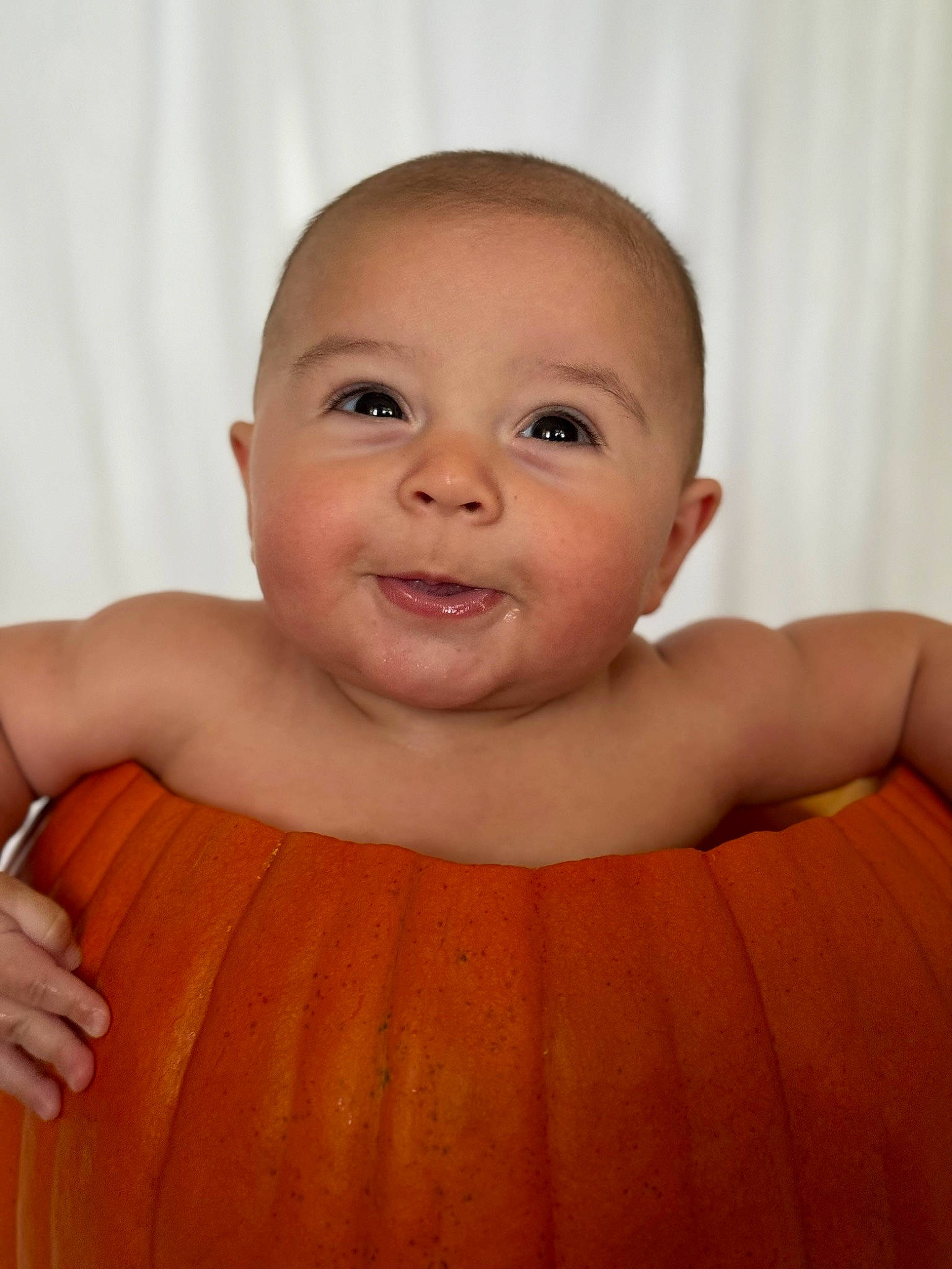 Josiah joined the competition — help win amazing prizes! baby, calabaza, cheek, child, chin, close_up, eye, eyebrow, eyelash, facial_expression, finger, fruit, happy, human_body, iris, nose, person, pumpkin, skin, smile